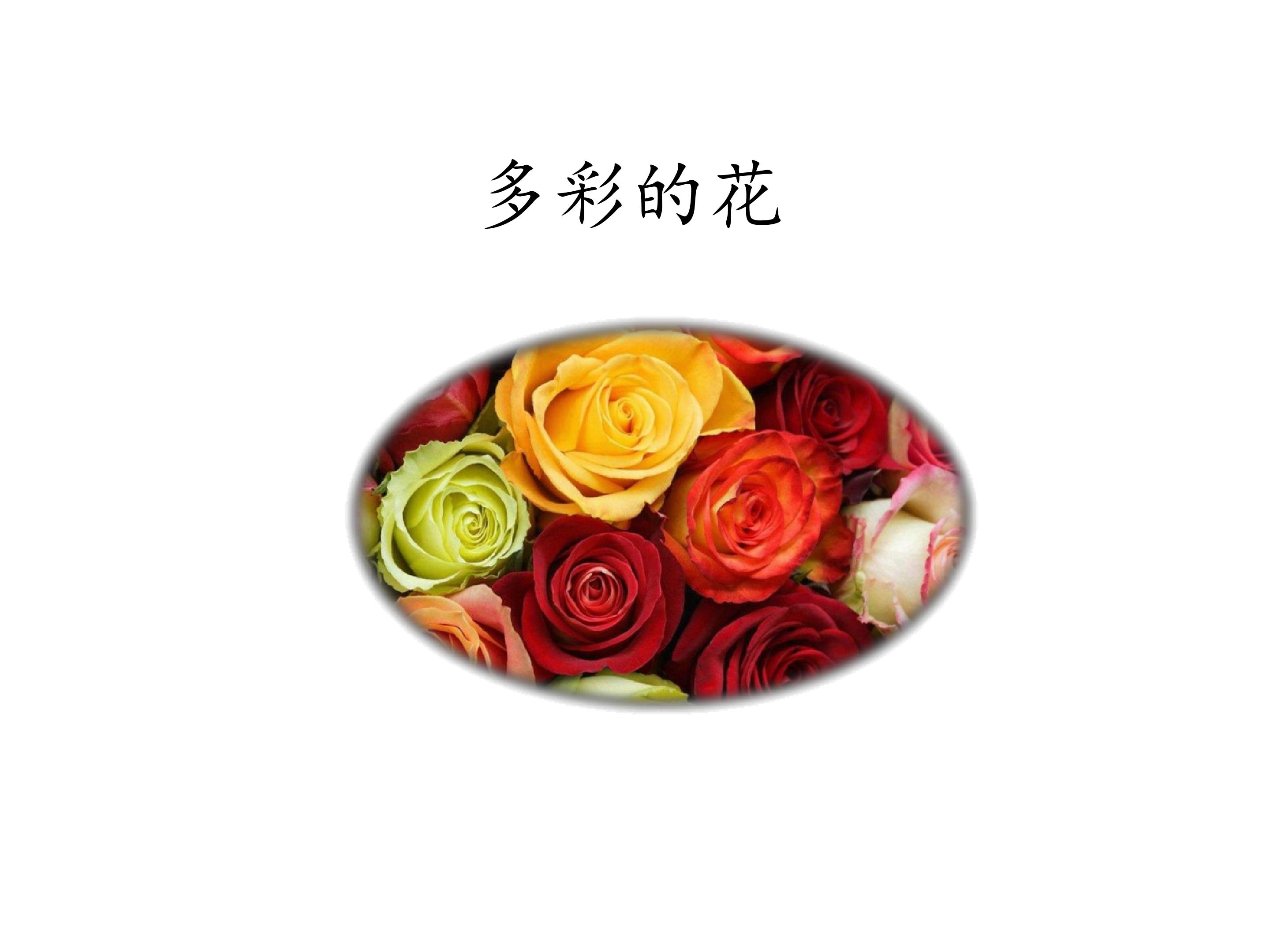 多彩的花_课件1