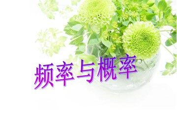 频率与概率_课件2