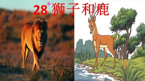 28* 狮子和鹿
