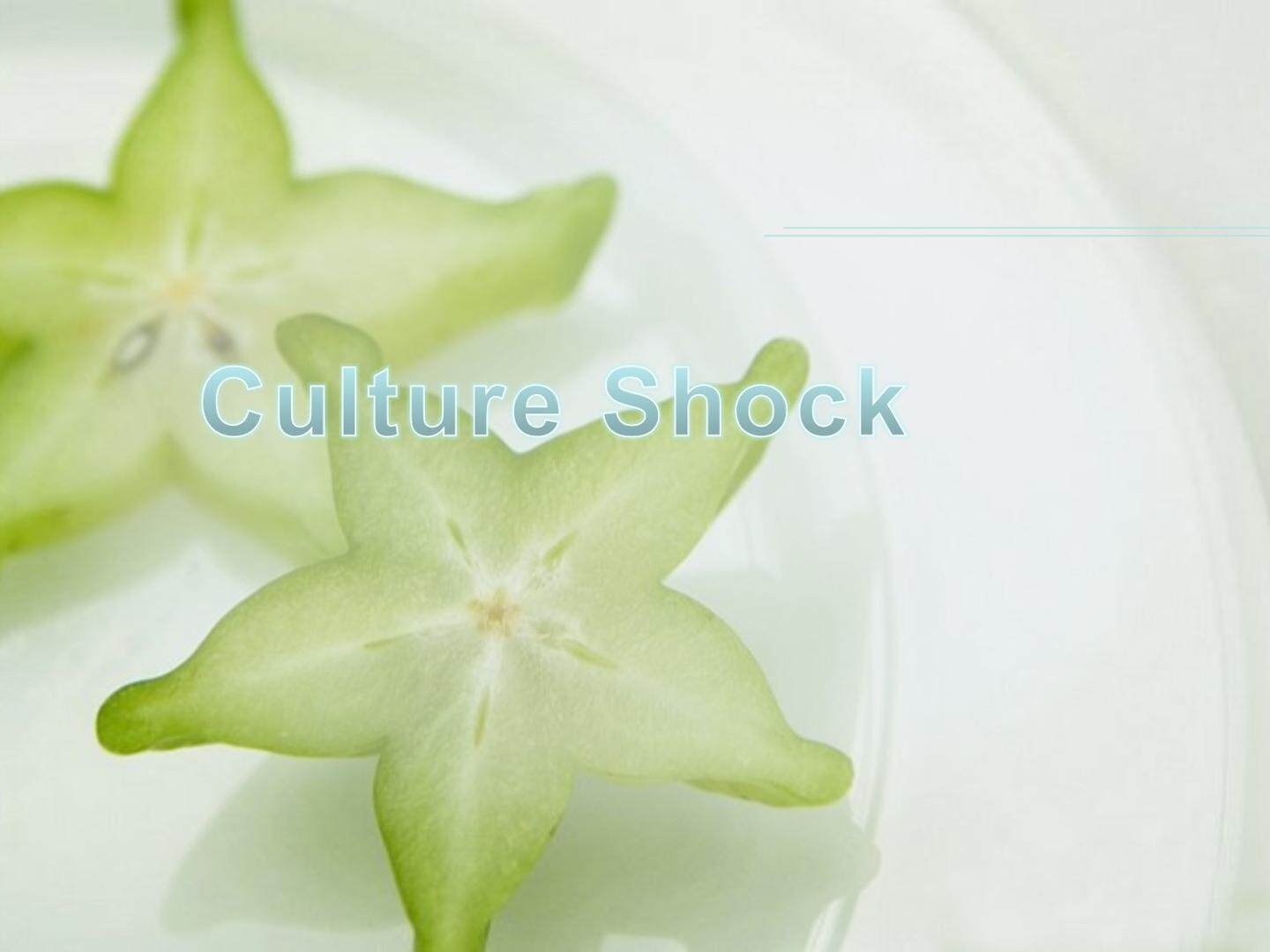 Culture Shock_课件4