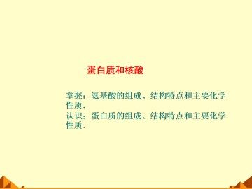 蛋白质和核酸_课件4
