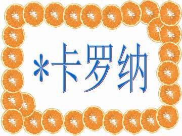 卡罗纳_课件7