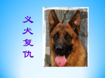 义犬复仇_课件1