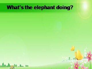 What's the elephant doing?_课件1