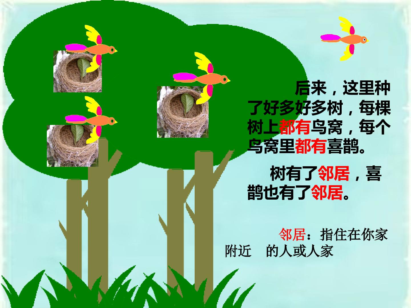 14.jpg