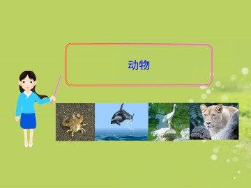 动物_课件3