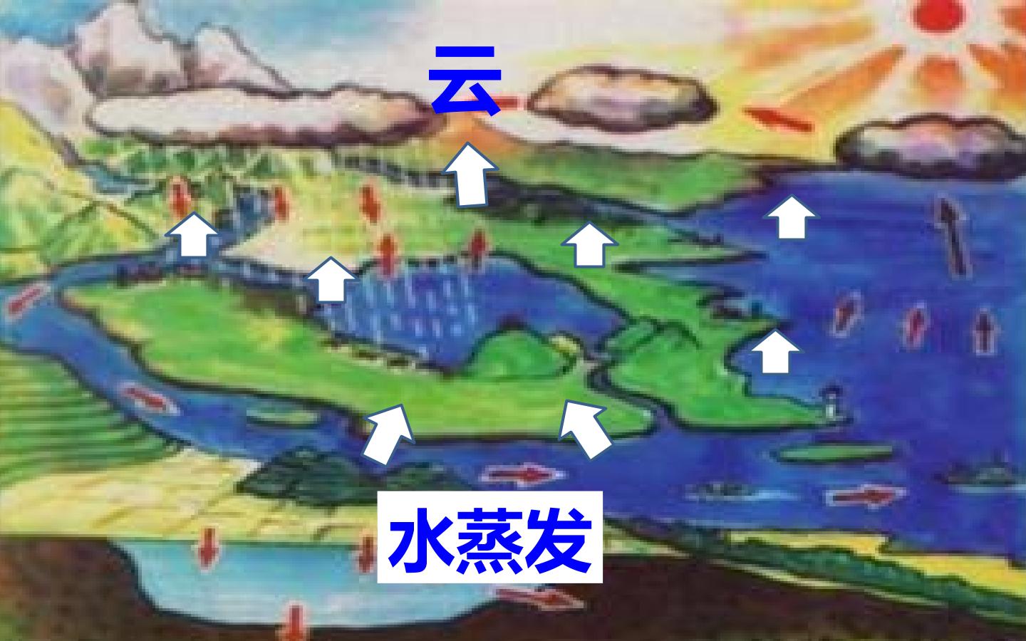 40.jpg