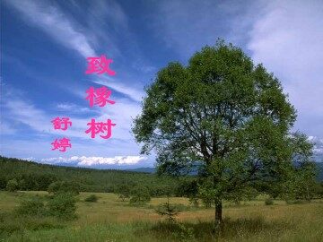 致橡树_课件1