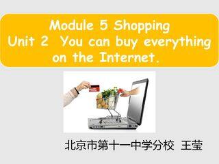 Unit 2 You can buy everything on the Internet.
