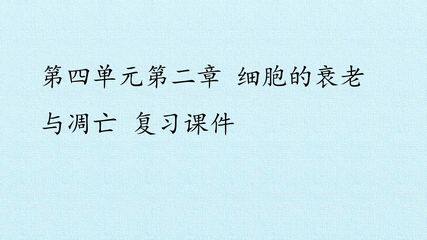 第四单元第二章 细胞的衰老与凋亡 复习课件