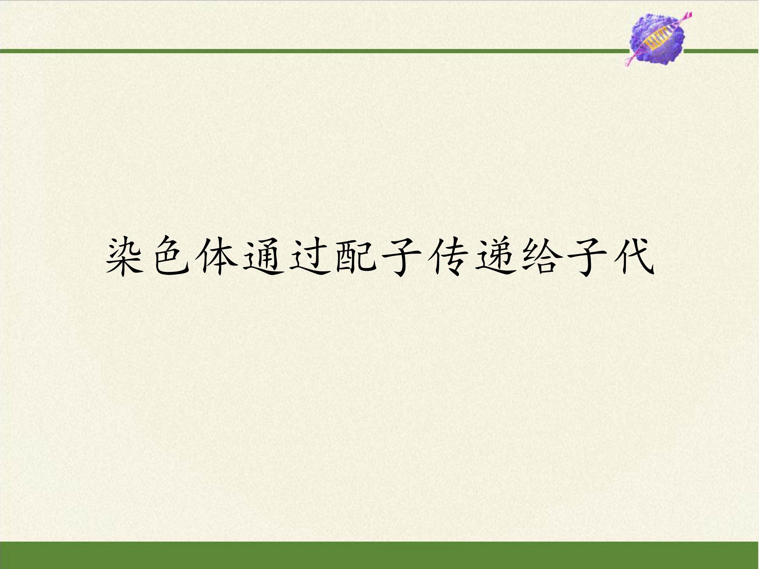 染色体通过配子传递给子代