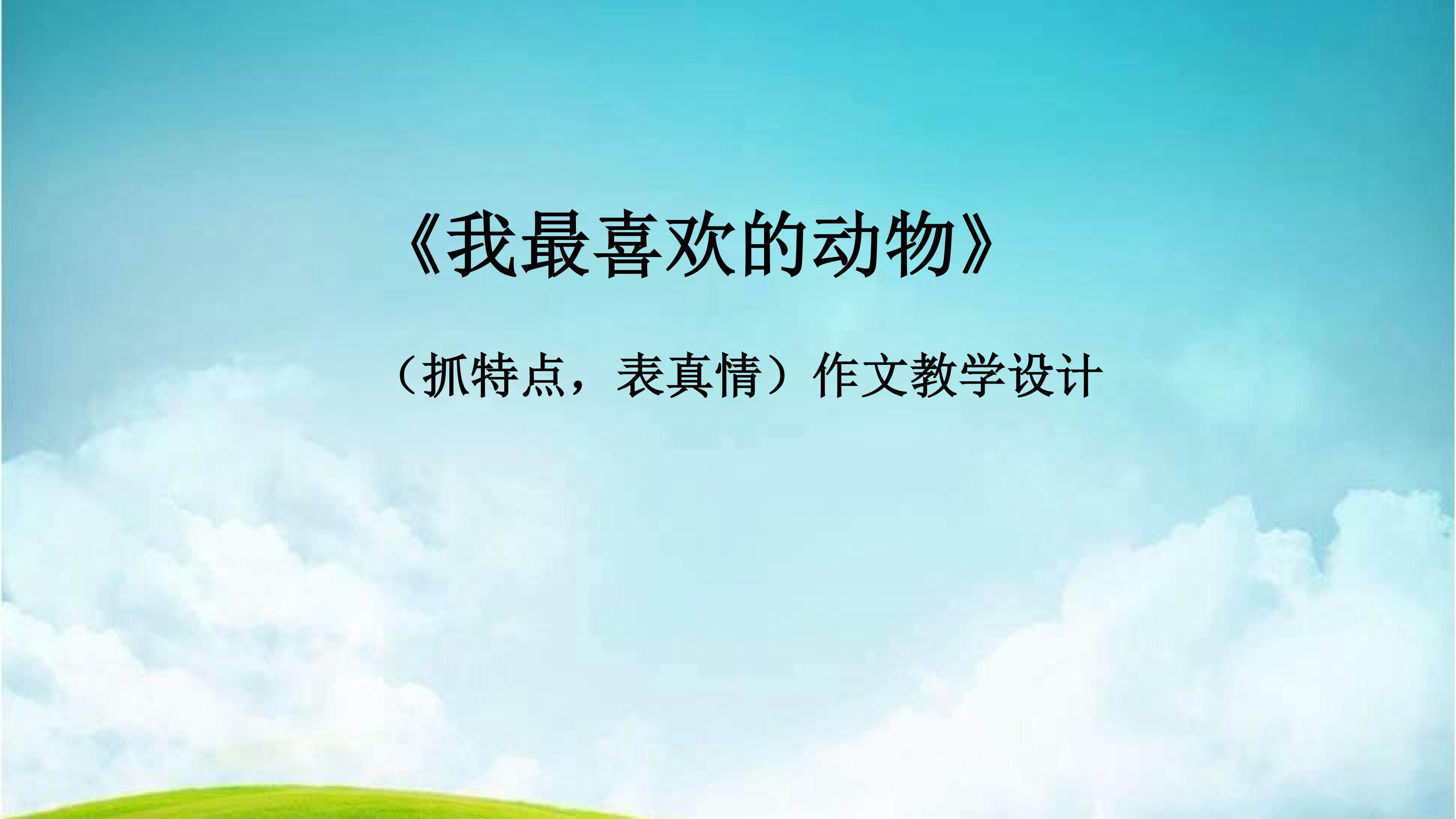 《我最喜欢的小动物》