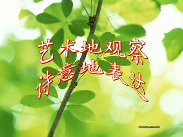 雨的诉说