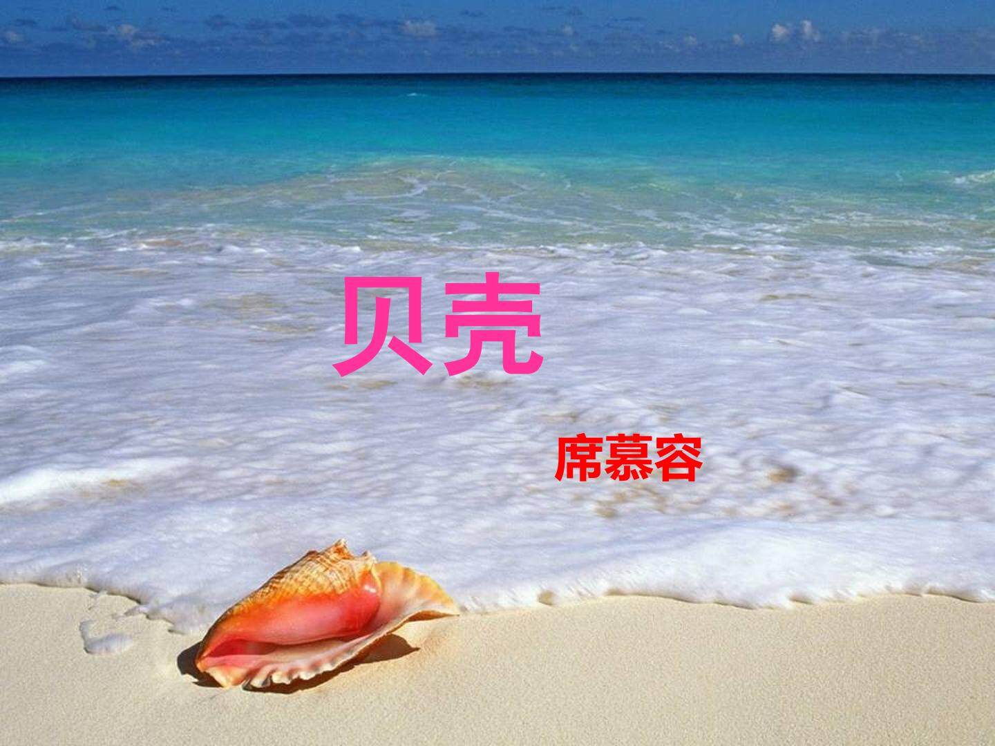 贝壳_课件1