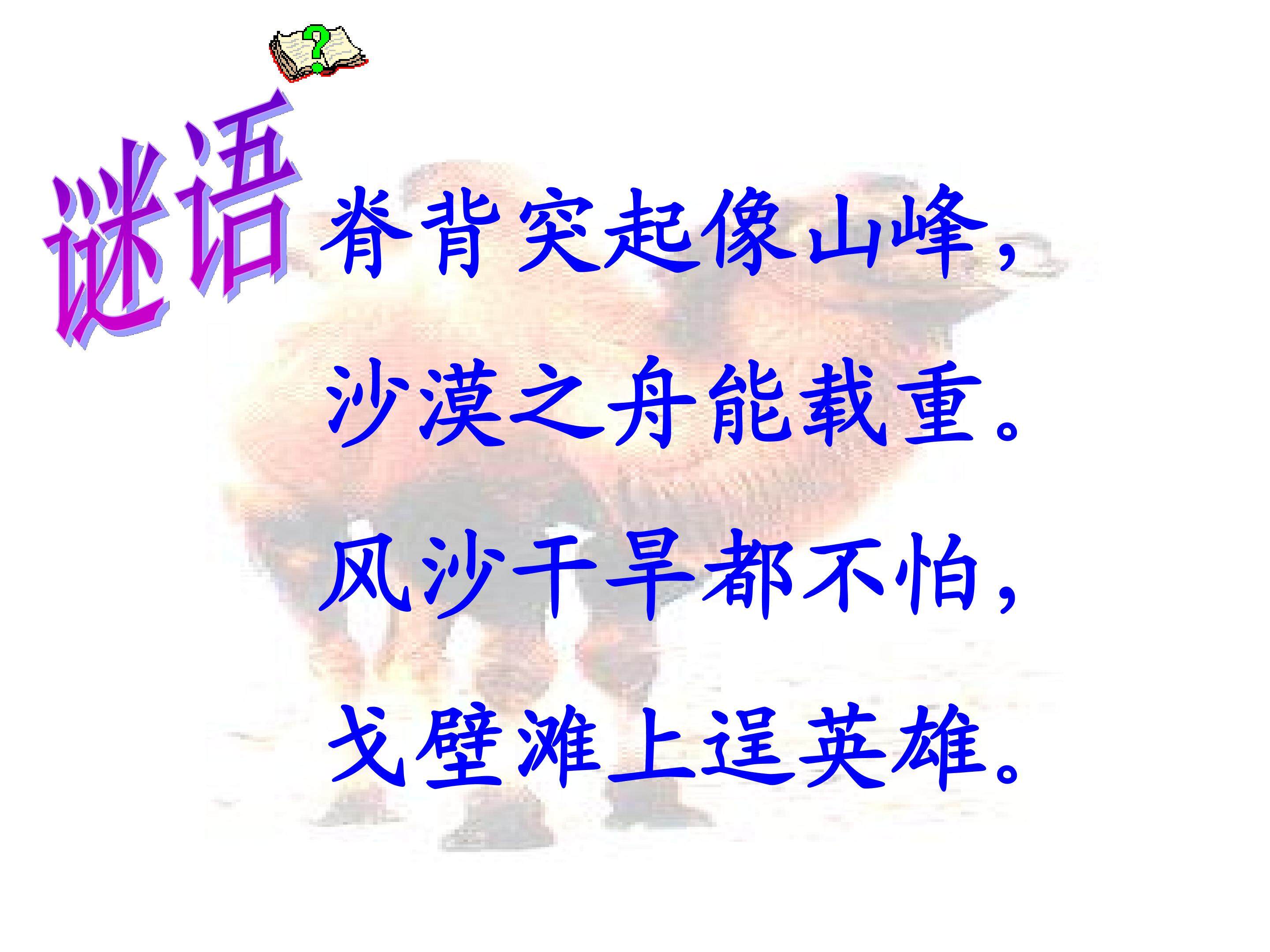 16* 找骆驼