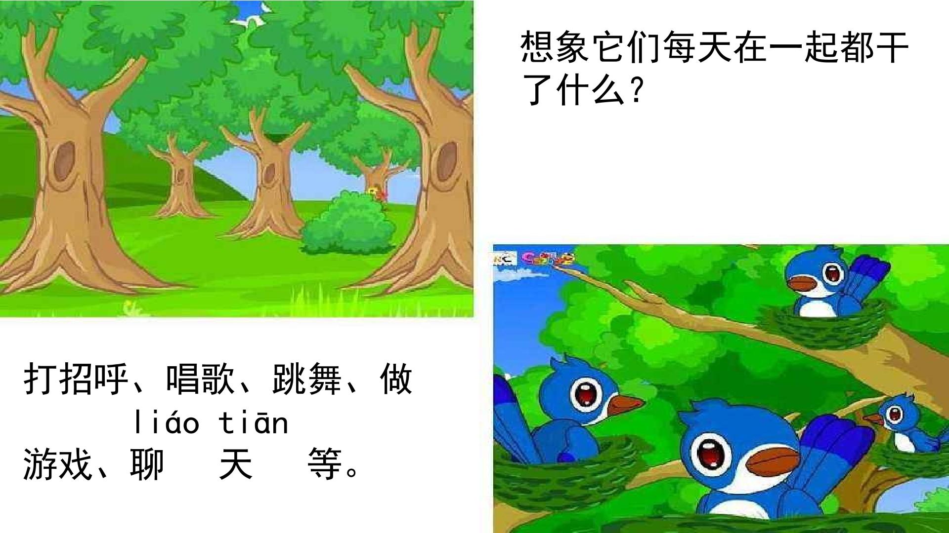 19.jpg