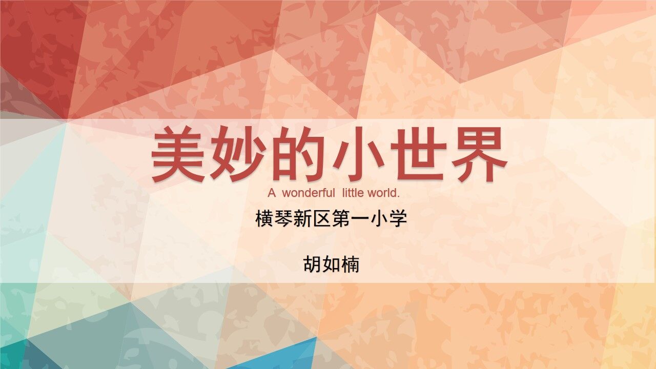 美妙的小世界