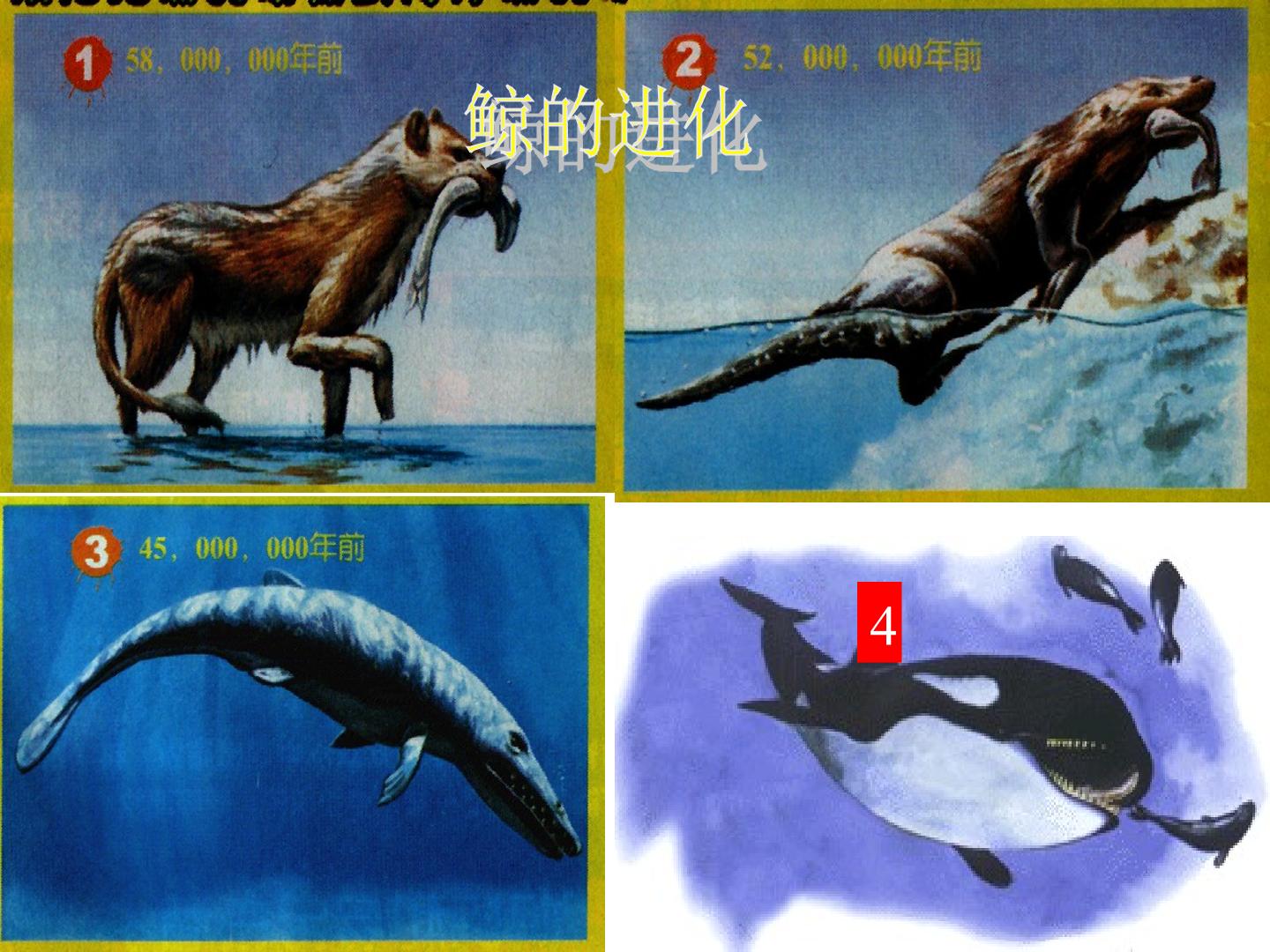 40.jpg