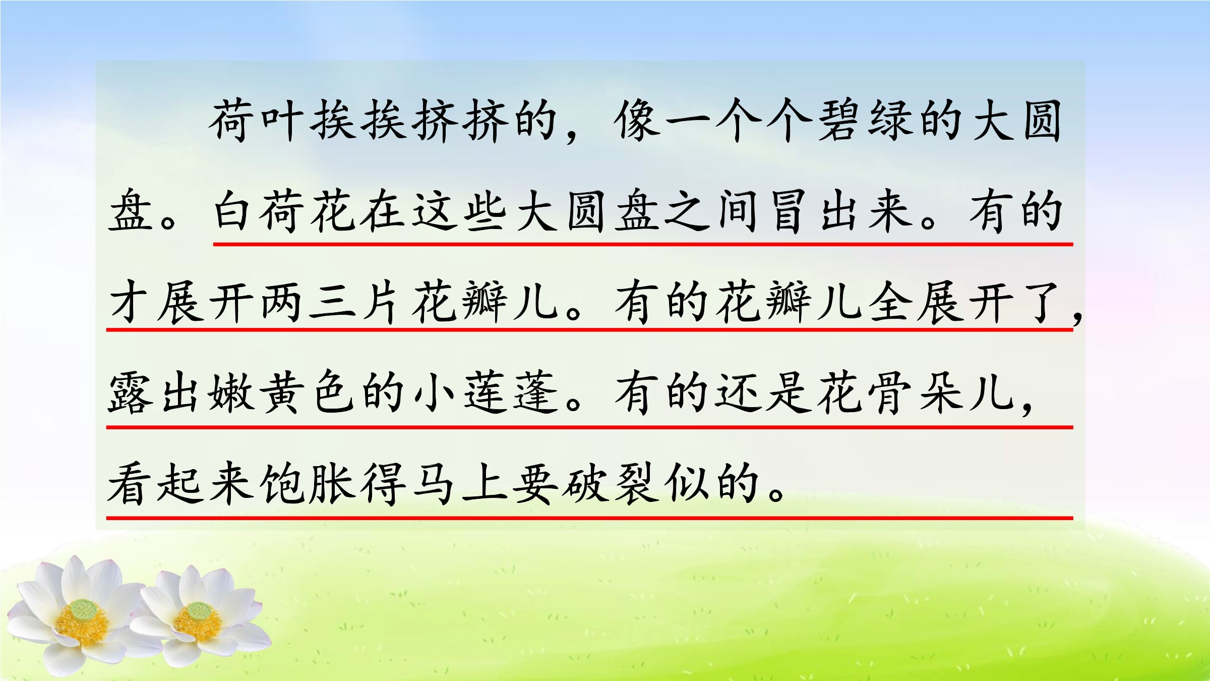 11