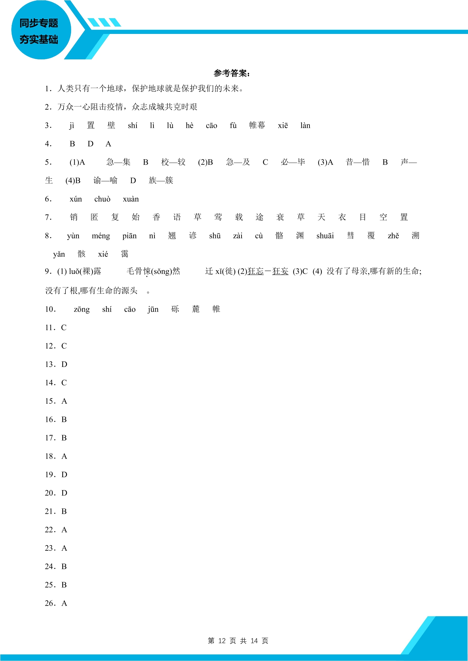 13.jpg