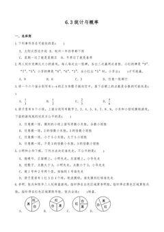 6.3统计与概率 课时练05