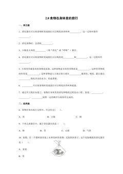 2.8 食物在体内的旅行 课时练习02