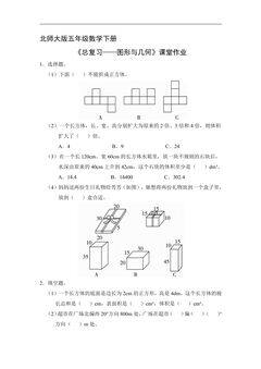 5年级数学北师大版下册课时练《总复习——图形与几何》