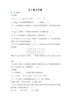 6.1数与代数 课时练08