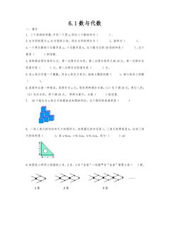 6.1数与代数 课时练06