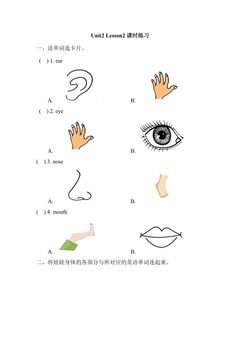 【课时练习】一年级上册英语人教版新起点Unit 2《Face》(lesson 2)01