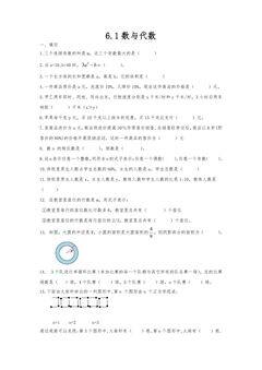 6.1数与代数 课时练05