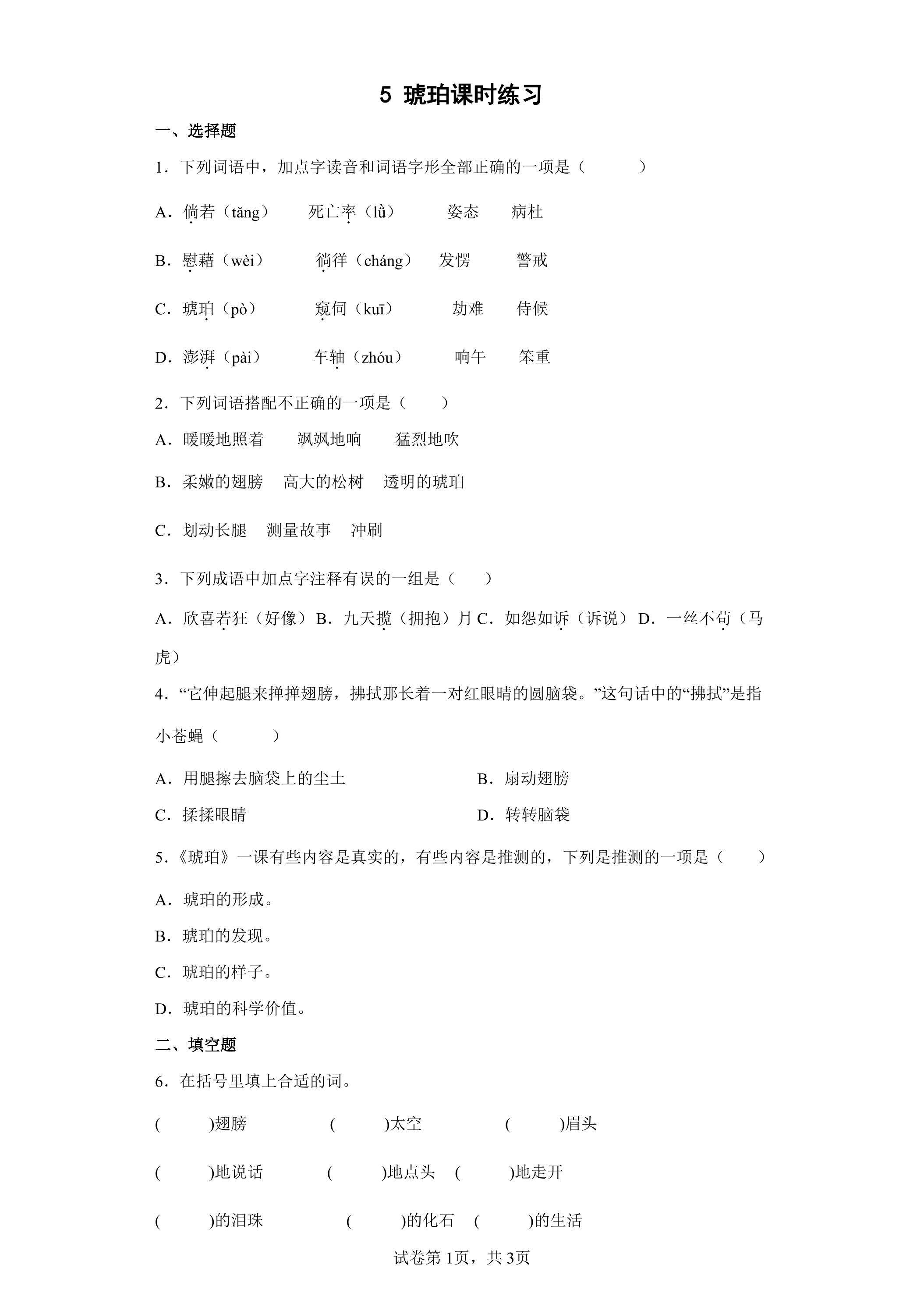 5 琥珀课时练习01