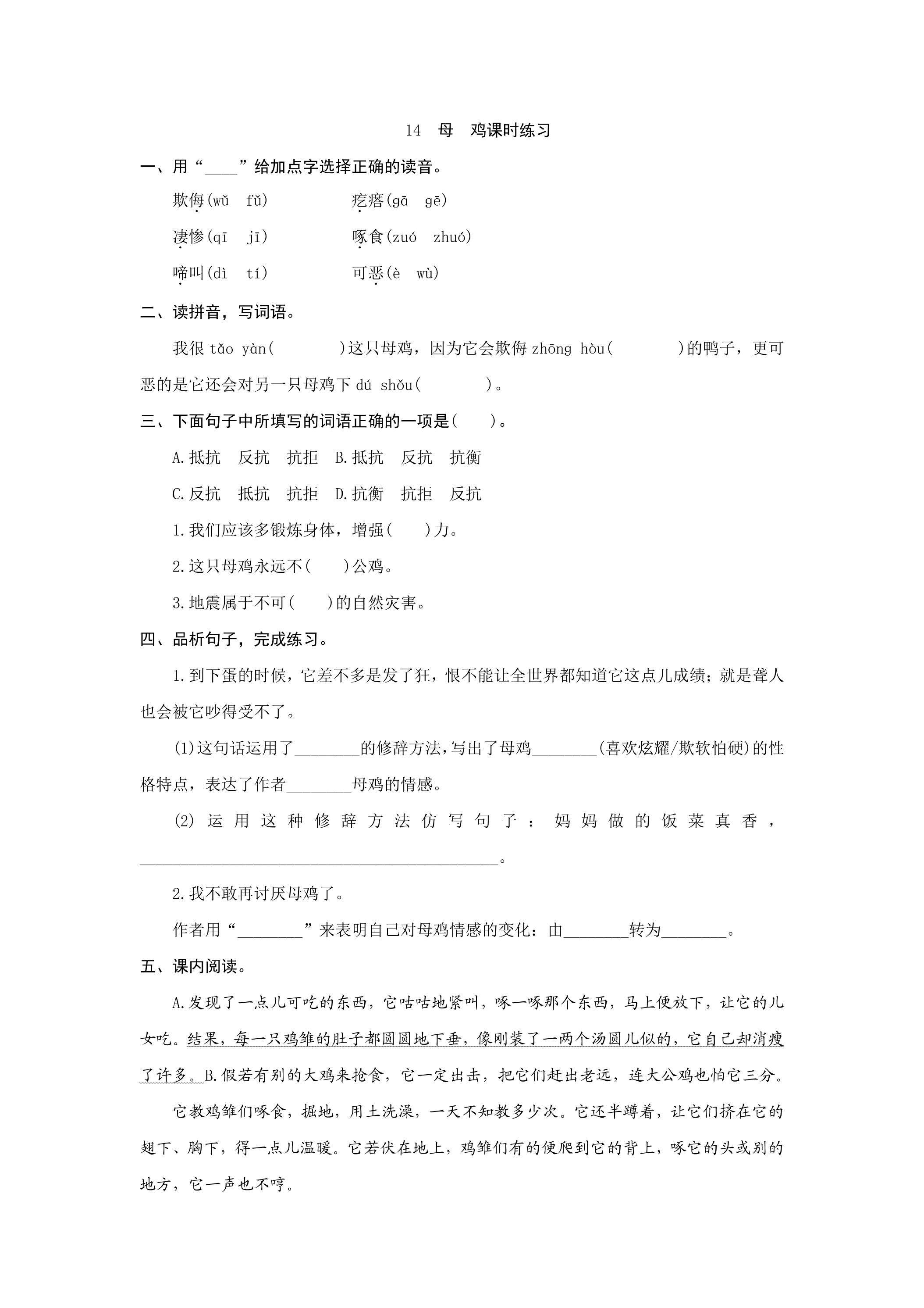 第14课母鸡课时练习07