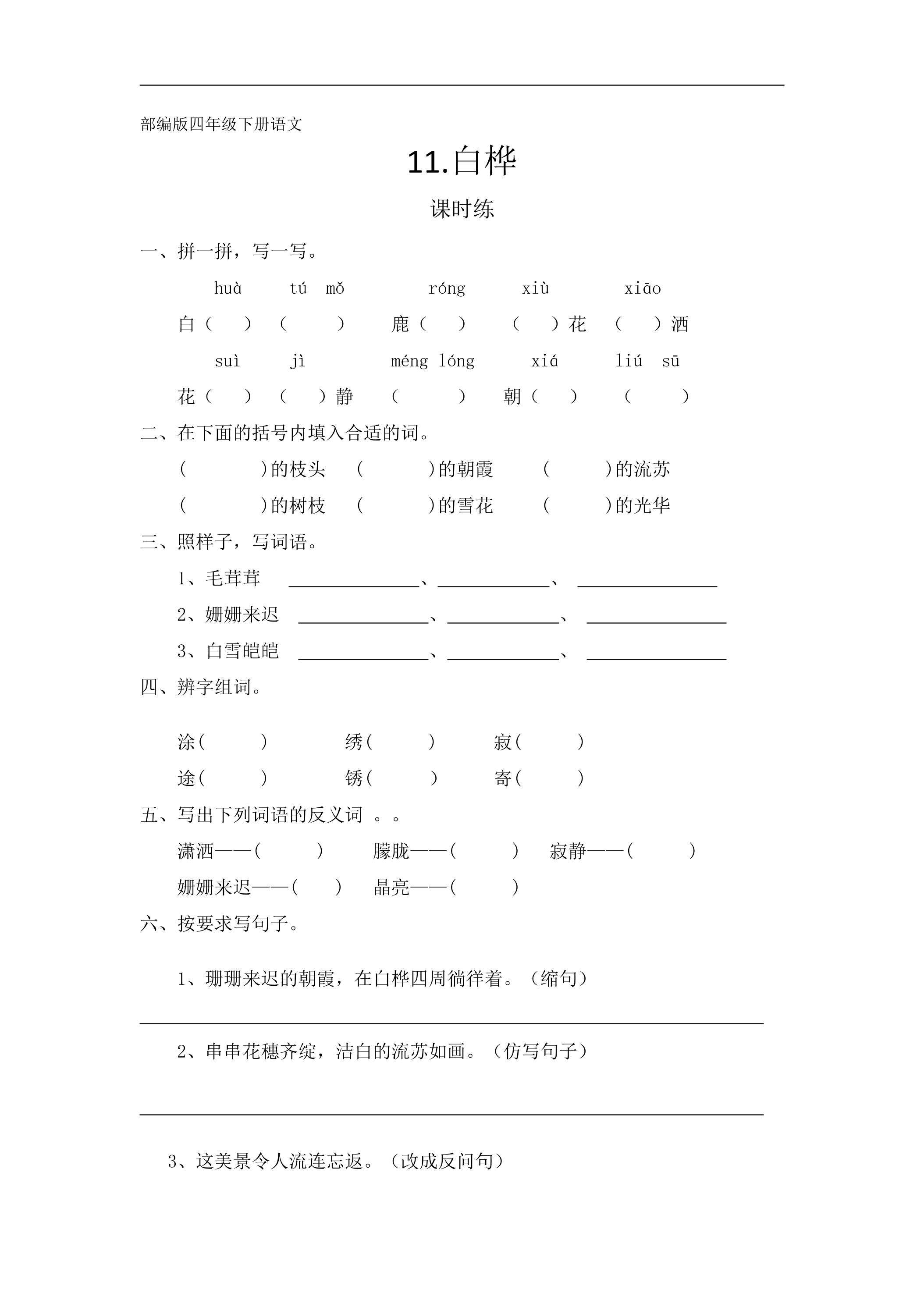 【★】四年级下册语文部编版课时练第11课《白桦》（含答案）