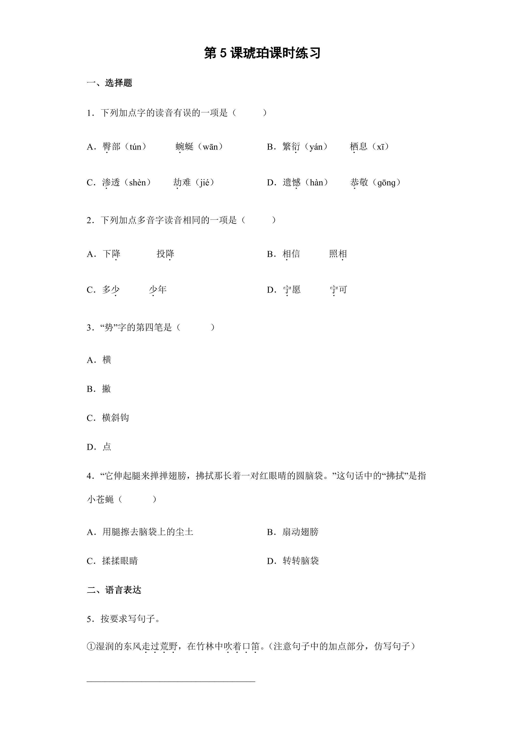 5 琥珀课时练习02