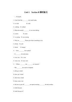 Unit 1 Section B 课时练习 03