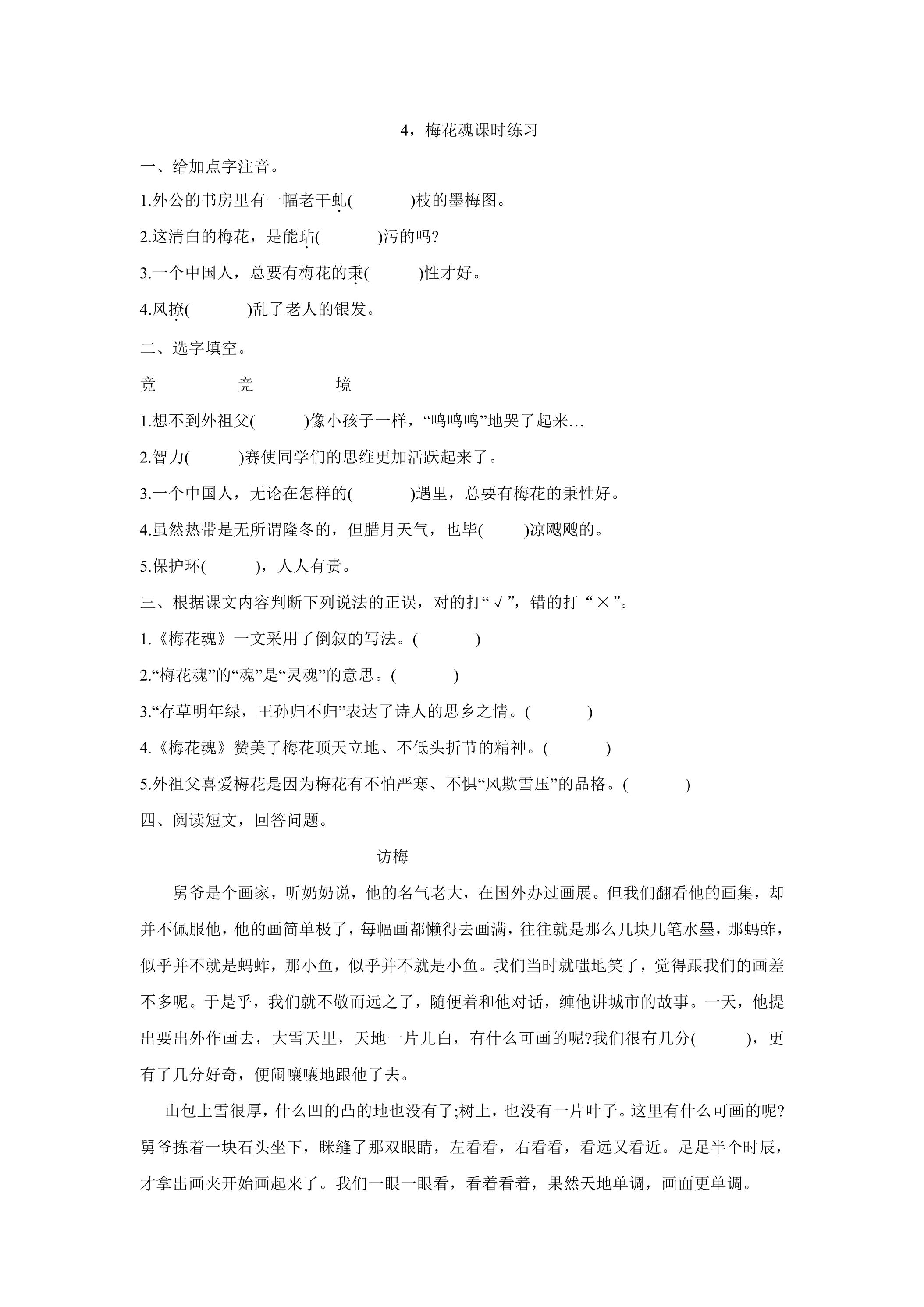 4.梅花魂课时练习03