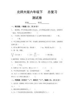 6年级数学北师大版下册总复习《模拟测试》04