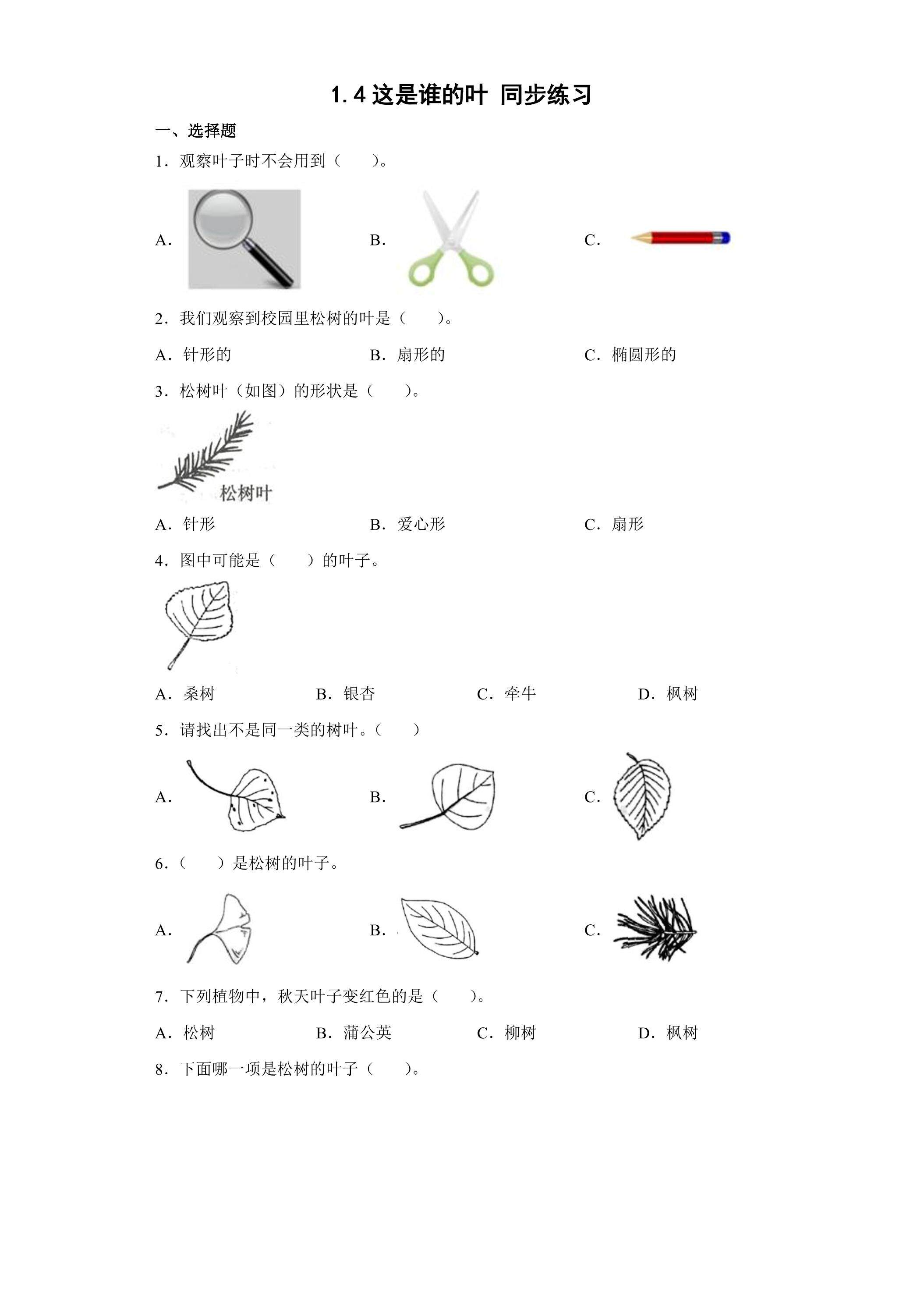 1.4这是谁的叶 同步练习