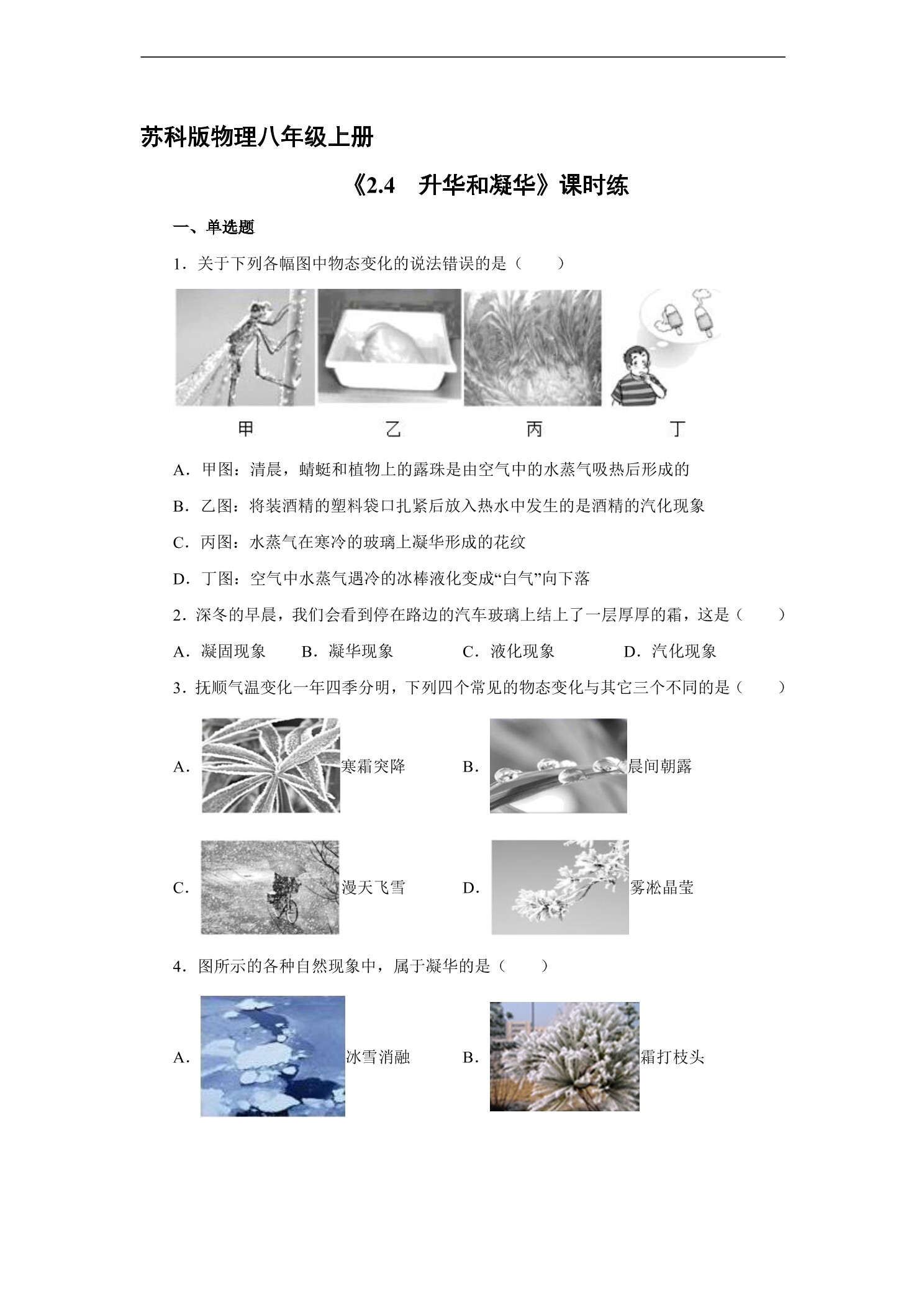 【★★】8年级物理苏科版上册课时练《2.4 升华和凝华》
