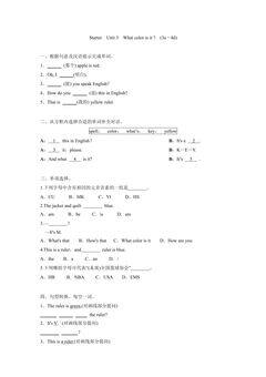 Starter Unit 3 What color is it   (3a~4d) 课时练习