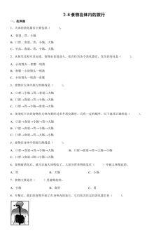 2.8 食物在体内的旅行 课时练习01