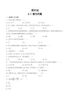 【★】六年级下册数学人教版课时练第6单元《6.1数与代数》(含答案)
