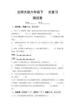 6年级数学北师大版下册总复习《模拟测试》03