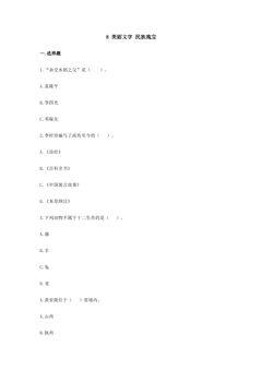 8.美丽文字 民族瑰宝 课时练习02
