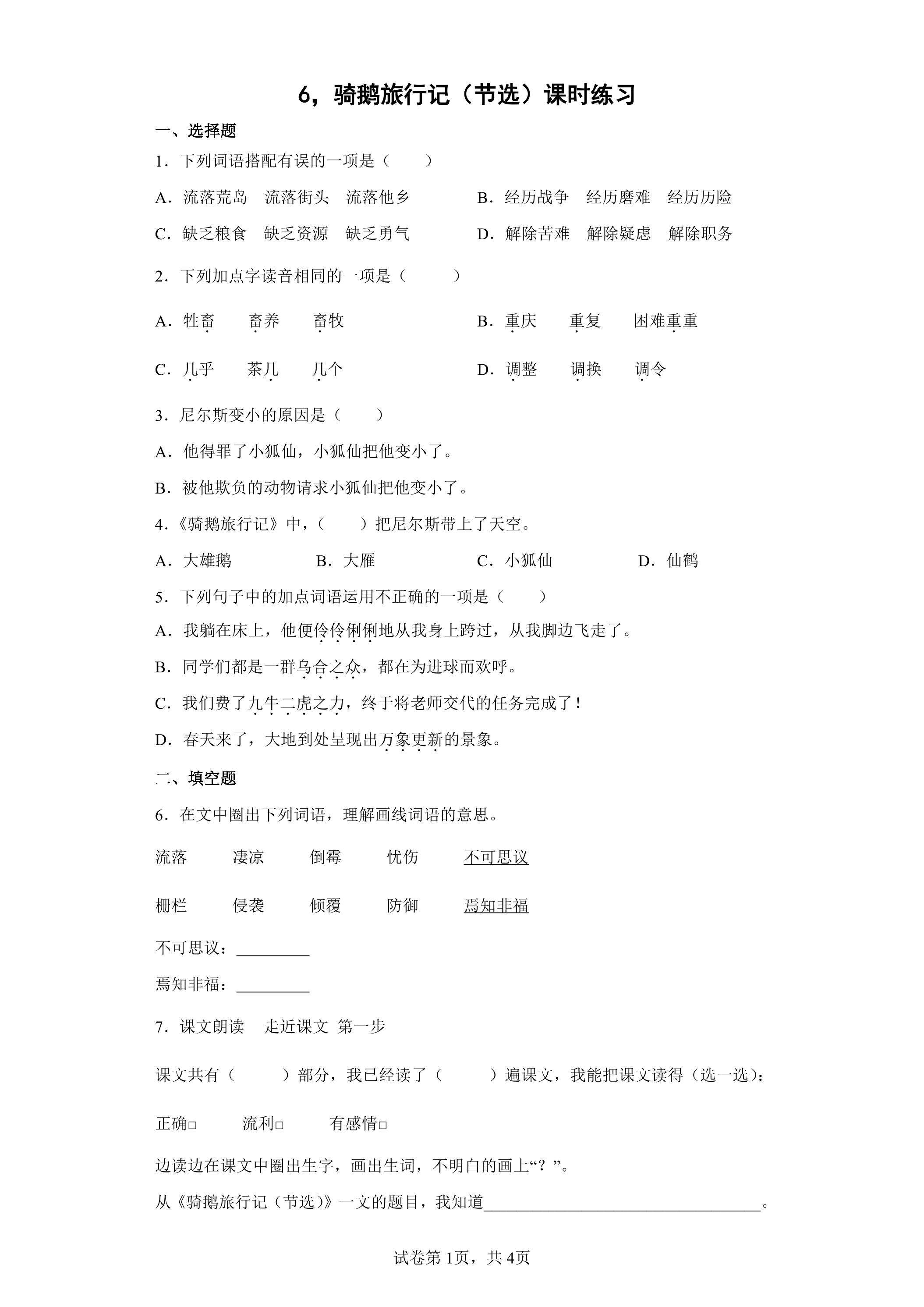 6.骑鹅旅行记（节选）课时练习03