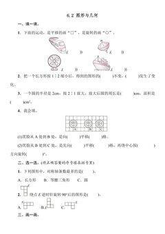 6.2图形与几何 课时练04
