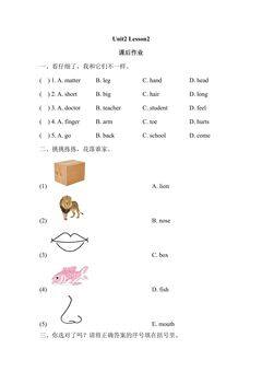 【课后作业系列】三年级上册英语人教版新起点Unit 2《My body》(Lesson 2)01