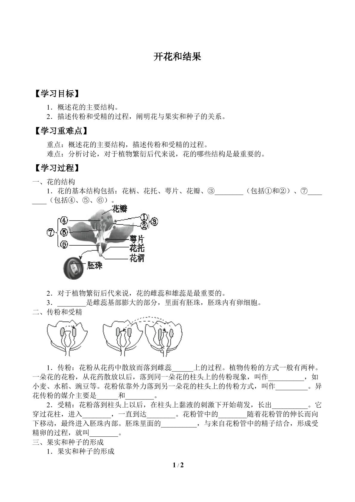 开花和结果