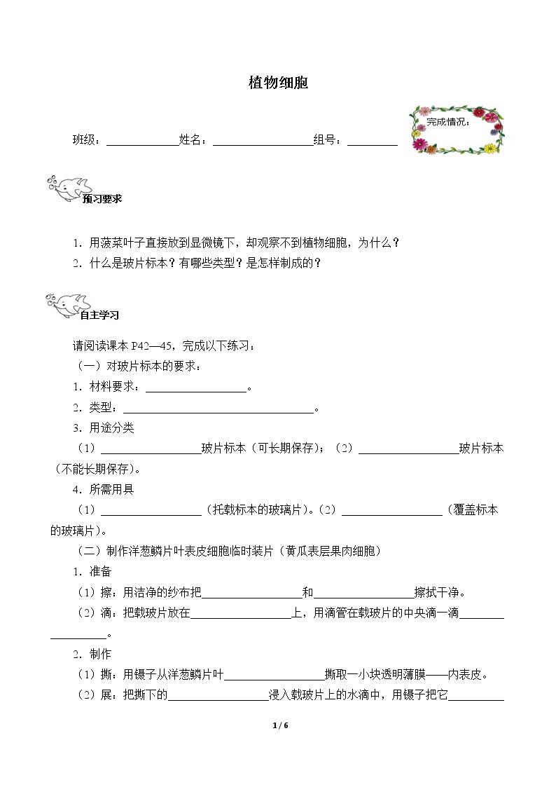 植物细胞（含答案） 精品资源_学案1